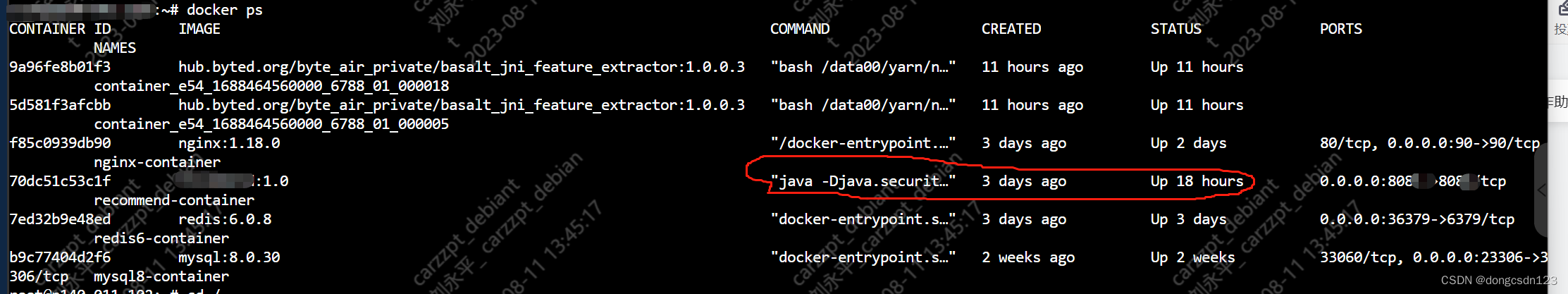 Docker DockerFile部署java jar项目包,以及Mysql,Redis,第7张