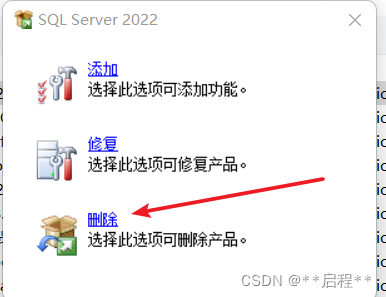 SQL Server 2022 彻底卸载教程,第3张