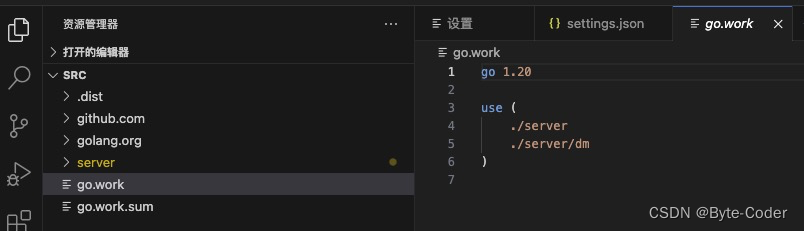 golang vscode环境报错gopls was not able to find modules in your workspace的解决方式,第4张