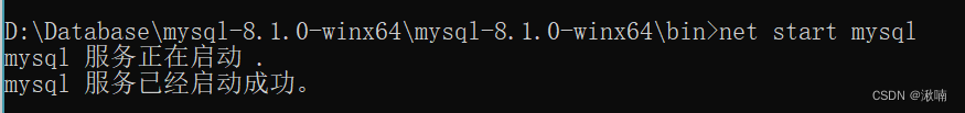 【MySQL教程】| （1-1） 2023MySQL-8.1.0 安装教程,在这里插入图片描述,第9张