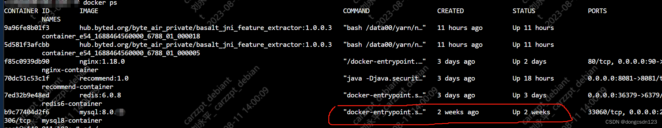 Docker DockerFile部署java jar项目包,以及Mysql,Redis,第4张