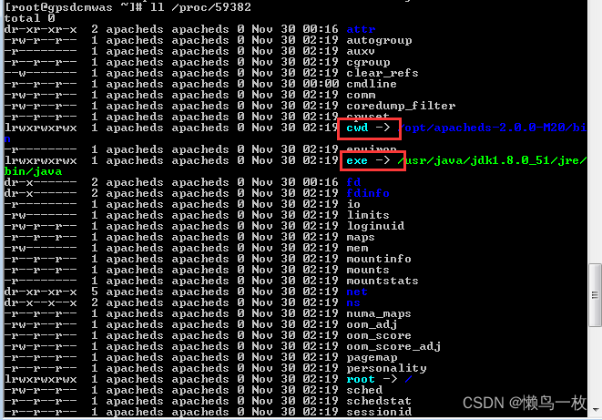 linux 服务器进程、端口查找，nginx 配置日志查找，lsof 命令详解,在这里插入图片描述,第1张