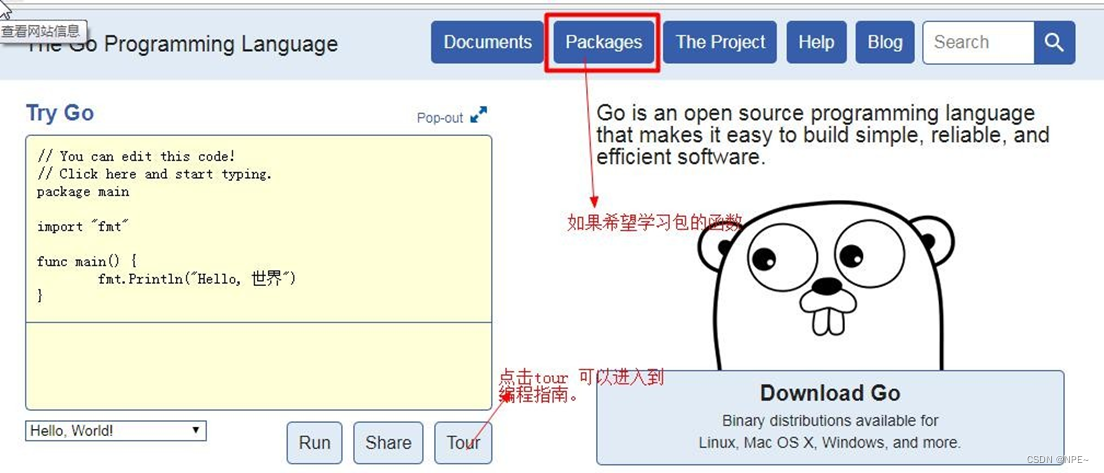 1 Go语言开发环境搭建详细教程+go常见bug合集【Go语言教程】,在这里插入图片描述,第22张