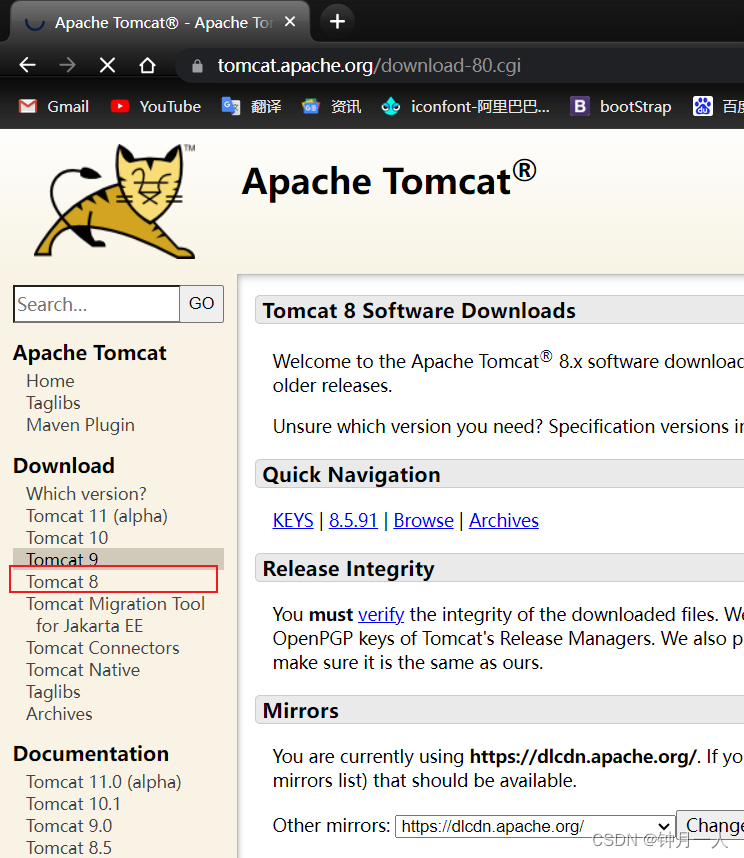 Tomcat下载及idea中配置Tomcat（详细图文步骤，建议收藏）,第2张