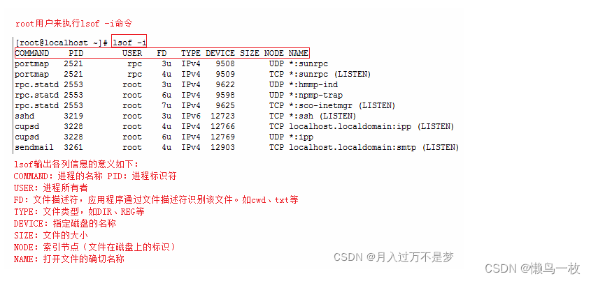 linux 服务器进程、端口查找，nginx 配置日志查找，lsof 命令详解,在这里插入图片描述,第5张