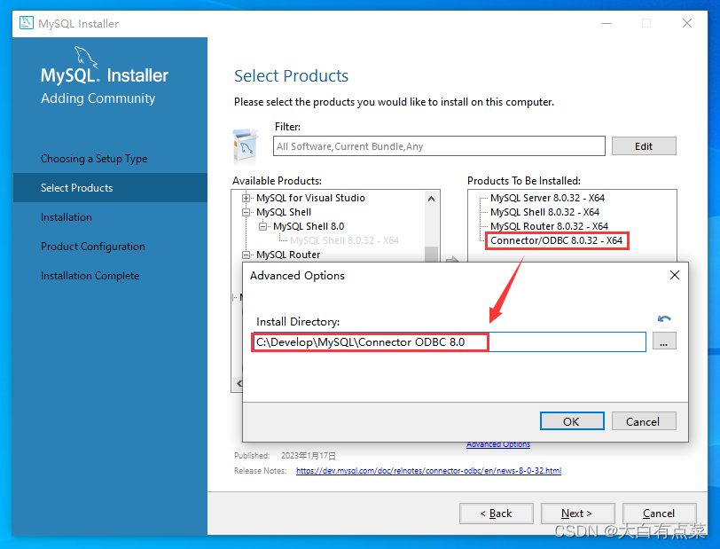 最新 MySQL 8.0.32 在Win10安装部署（详细）,修改组件“Connector/ODBC 8.0.32 - X64”安装路径。,第13张