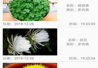 12个实用技巧教你成功打造花卉养殖网