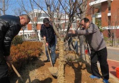 诠释多维植树-让我们的地球更加美好