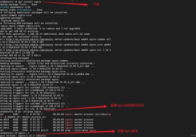 【Linux】在Ubuntu下部署nginx——nginx的安装与卸载
