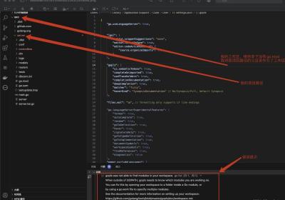 golang vscode环境报错gopls was not able to find modules in your workspace的解决方式