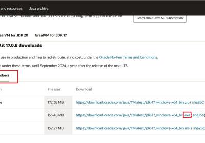 后端Windows软件环境安装配置大全[JDK、Redis、RedisDesktopManager、Mysql、navicat、VMWare、finalshell、MongoDB...持续更新中]