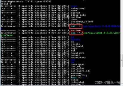 linux 服务器进程、端口查找，nginx 配置日志查找，lsof 命令详解