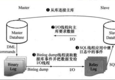 想学精MySQL，得先捋一捋高可用架构