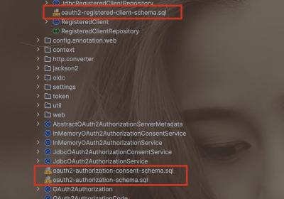 spring-security-oauth2-authorization-server（一）SpringBoot3.1.3整合