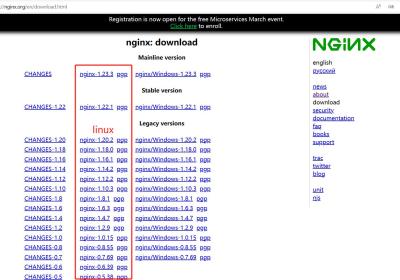 nginx正向代理的配置和使用