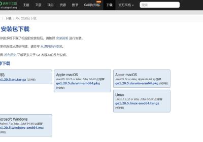 基础篇：新手使用vs code新建go项目（从0开始到运行）