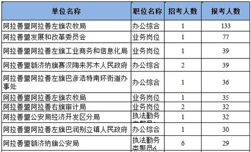 如何进行搜索引擎优化 ：阿拉善人事考试官方网站发布招聘信息,如何进行搜索引擎优化 ：阿拉善人事考试官方网站发布招聘信息,第1张