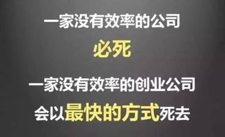 从兔啾啾看中国创业公司的发展前景,从兔啾啾看中国创业公司的发展前景,第3张