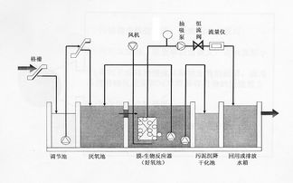 制浆实验室设备：从木头到白纸的化学过程,制浆实验室设备：从木头到白纸的化学过程,第3张