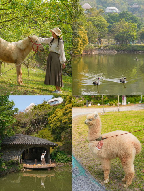 榆树市引爆“森林童话”旅游新经济,榆树市引爆“森林童话”旅游新经济,第1张