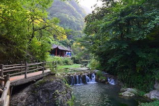 探秘三门峡醉人美景，全方位了解这座城市！,探秘三门峡醉人美景，全方位了解这座城市！,第1张