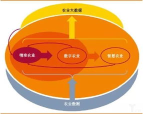 dw网页设计作业成品：新闻发布会方案：打通农村网络，让农民也能享受数字时代红利！,dw网页设计作业成品：新闻发布会方案：打通农村网络，让农民也能享受数字时代红利！,第1张