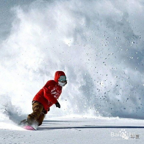 如何选择适合自己的滑雪单板？,如何选择适合自己的滑雪单板？,第3张