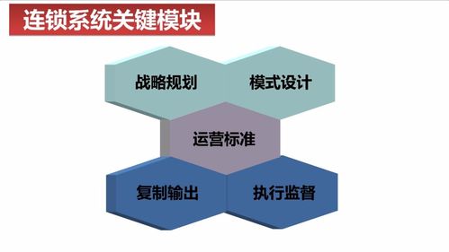 连锁经营：企业快速发展的秘诀,连锁经营：企业快速发展的秘诀,第2张