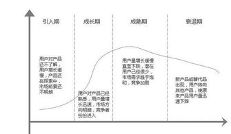 专业设计网站的公司：如何打造完整的品牌生命周期网络营销策略？,专业设计网站的公司：如何打造完整的品牌生命周期网络营销策略？,第2张