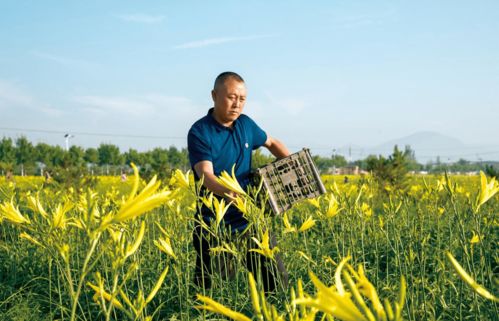 透视中国有机农业：领先世界的生产力与可持续发展,透视中国有机农业：领先世界的生产力与可持续发展,第1张