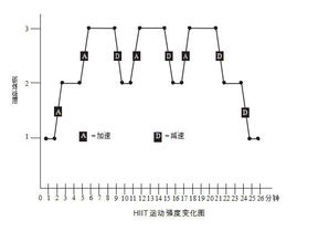 如何实现高效锻炼？看看这种训练方式,如何实现高效锻炼？看看这种训练方式,第1张