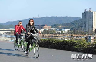 广州网站建设推荐：从骑行体验到资本焦虑：探寻酷骑单车的兴衰之路,广州网站建设推荐：从骑行体验到资本焦虑：探寻酷骑单车的兴衰之路,第2张