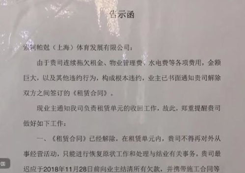 上海追债公司：解析如何应对债务纠纷,上海追债公司：解析如何应对债务纠纷,第3张