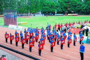 陇南举办第五届城市运动会开幕式，文峰广场成为主场,陇南举办第五届城市运动会开幕式，文峰广场成为主场,第3张