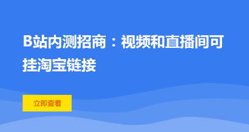 站长资讯加速布局大中华区PC互联网站长市场,站长资讯加速布局大中华区PC互联网站长市场,第3张