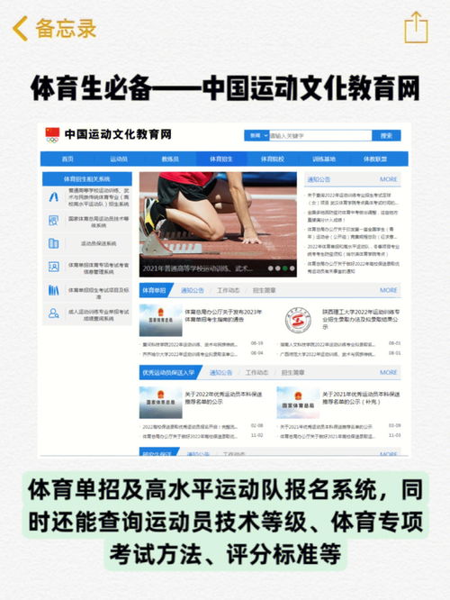 SEO优化策略：增加网站流量和曝光率的必备方法,SEO优化策略：增加网站流量和曝光率的必备方法,第3张