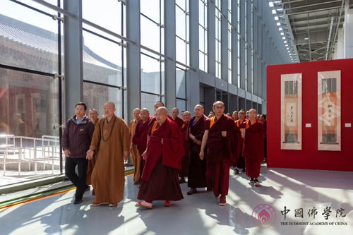 净宗传承教育-净宗学院，承续千年智慧,净宗传承教育-净宗学院，承续千年智慧,第1张