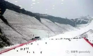 甘肃冬天美景：大雪纪实,甘肃冬天美景：大雪纪实,第3张