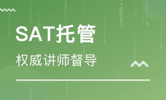 如何实现少年良好素质教育？,如何实现少年良好素质教育？,第2张