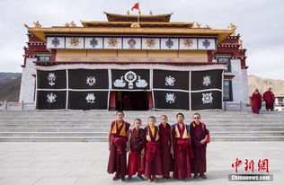 净宗传承教育-净宗学院，承续千年智慧,净宗传承教育-净宗学院，承续千年智慧,第2张