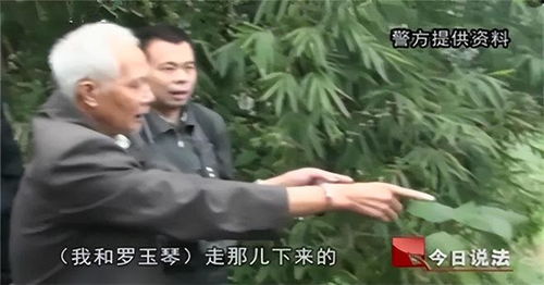 「生命的冲动：亲情与欲望的较量」-探究家庭伦理与性心理的交锋,「生命的冲动：亲情与欲望的较量」-探究家庭伦理与性心理的交锋,第2张