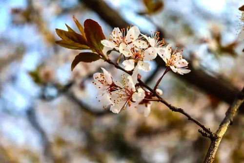 《流年如梦，依然相约-“性暖花开”回忆录》,《流年如梦，依然相约-“性暖花开”回忆录》,第1张