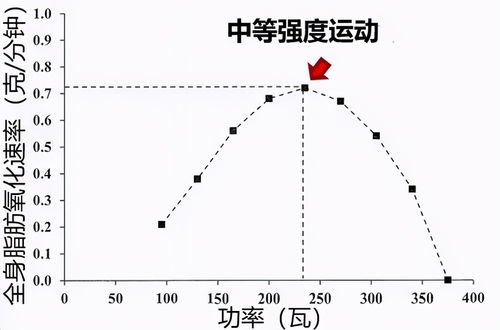 探寻人体内的旋转进动力学效应,探寻人体内的旋转进动力学效应,第3张