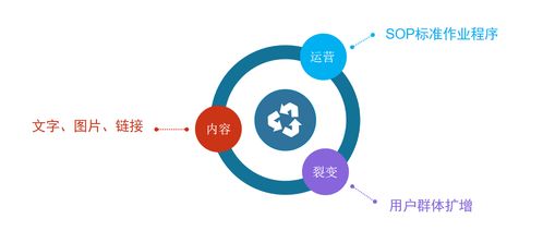 “如何使用社群运营实现月入万元，分享一套操作教程”,“如何使用社群运营实现月入万元，分享一套操作教程”,第2张