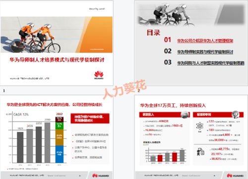 浅谈黄大仙精选资料中的一肖一码,浅谈黄大仙精选资料中的一肖一码,第3张