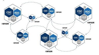 打造智能物流时代的新生态，亿聪网引领科技革新,打造智能物流时代的新生态，亿聪网引领科技革新,第1张