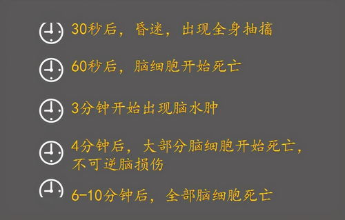 揭秘萧何的生死，到底是谁杀了他？,揭秘萧何的生死，到底是谁杀了他？,第1张