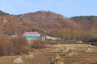 淮北市相山区农村振兴，新春走基层的见闻,淮北市相山区农村振兴，新春走基层的见闻,第1张