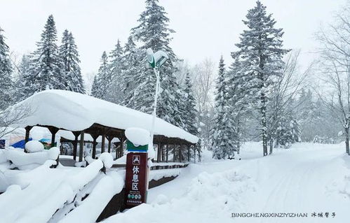 从樟树网到林海雪原-记我的一次户外经历,从樟树网到林海雪原-记我的一次户外经历,第3张