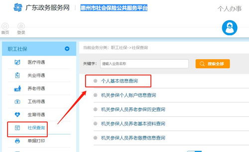 惠州社保个人查询指南，解答你想了解的惠州社保缴费情况,惠州社保个人查询指南，解答你想了解的惠州社保缴费情况,第3张